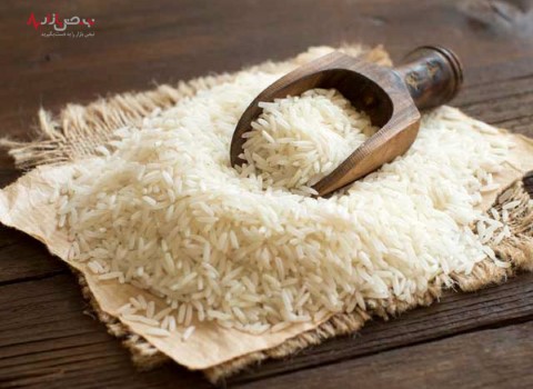 قیمت خرید برنج شمال ندا عمده به صرفه و ارزان